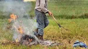 Un'immagine generica segnaposto con angoli arrotondati in una figura.